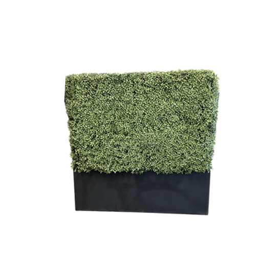 Mini topiary