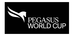 Pegasus